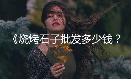 上海石子滩露营地点、上海到上海石子运输价格、上海哪有青石子卖、上海石灰岩石子