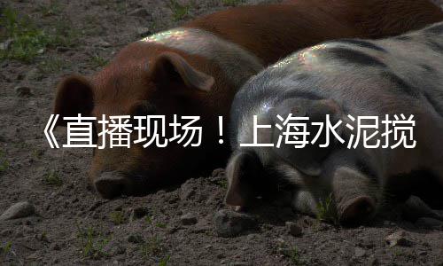 兴义白色石子批发市场、肇庆哪里有卖石子的市场、水屯市场有石子买吗、重庆袋装石子批发市场