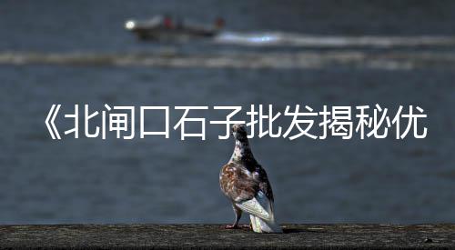 上海石子破碎机报价大全、上海白云石子、辽阳石子运到上海、上海黑色石子是什么