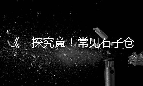 河北石子批发市场地址、涿州白石子批发市场地址、淄博小石子批发市场地址、连云港二手石子机械市场