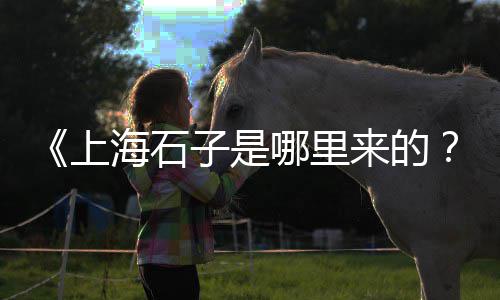 綦江哪里有零售水泥的店、水泥怎样零售、水泥井盖零售、红砖水泥零售