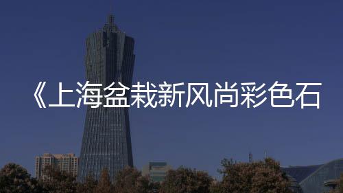 上海收购黄沙价格表、上海装修黄沙海沙河沙、上海安亭水泥黄沙批发、上海南汇黄沙滩赶海