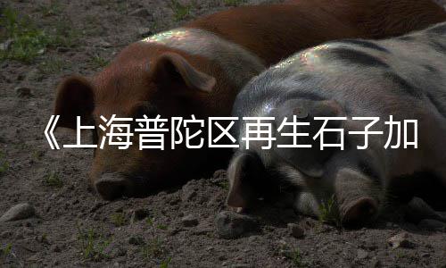 水泥模具桌子批发、青海水泥包装机批发电话、霍州2米水泥管批发部、大良哪里有批发白水泥的
