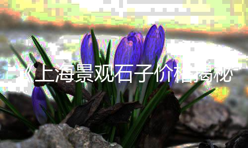 忠县石子材料市场电话号码、石子厂家 批发市场电话、深圳沙石石子批发市场、园艺石子用品批发市场