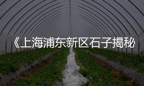 张家窝石子市场地址电话、洛阳砂子石子批发市场地址、大庙附近石子批发市场在哪里、阳谷县石子厂家批发市场
