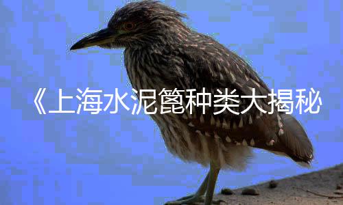 定远黄沙水泥价格、黄沙水产市场每日价格、深圳直销水泥黄沙价格、襄樊的黄沙今日价格