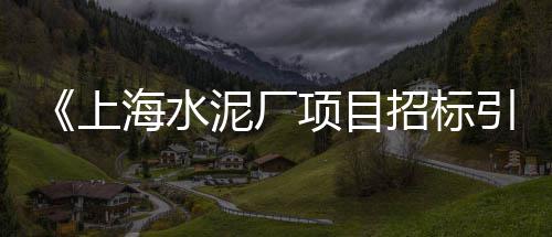 中山水泥发泡板零售、贵阳零售水泥价格、425水泥批发零售、恩施零售水泥店