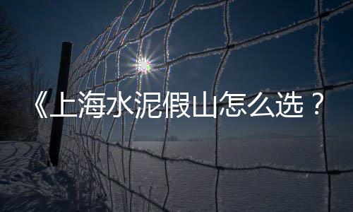 上海传尧再生石子厂、上海采购石子项目名单、上海干挂石子批发厂家地址、上海水泥块夹石子机