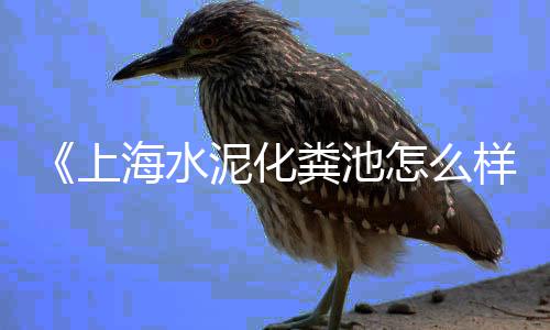 江州区水泥电杆底盘批发、济南水泥批发、水泥代理批发、鼎盛水泥批发