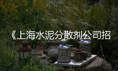 临沂彩色石子价格查询、青海彩色石子价格多少、紫金县石子价格、孟定石子价格多少