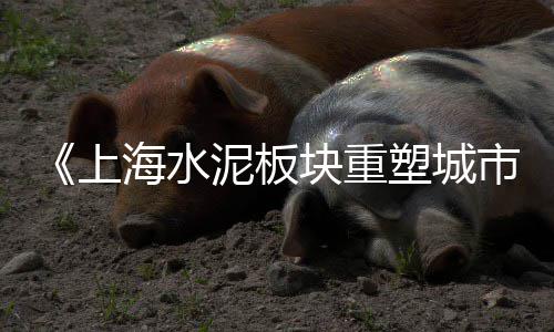 彩色石子批发铺路厂家、苏州建材石子批发、岫岩玉石子批发、甘肃白石子批发