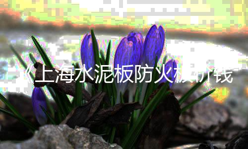 信阳青石子12价格、德城区石子价格、连江船运石子价格多少、温州永嘉石子价格走势