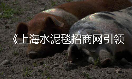 衡水水泥市场在哪里、水泥货源市场分布情况、随州水泥盖板现货市场、水泥32.5市场价