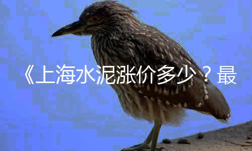 水泥潜在市场、水泥市场行情预判、水泥 市场监管处罚规定、煤炭水泥综合市场分析