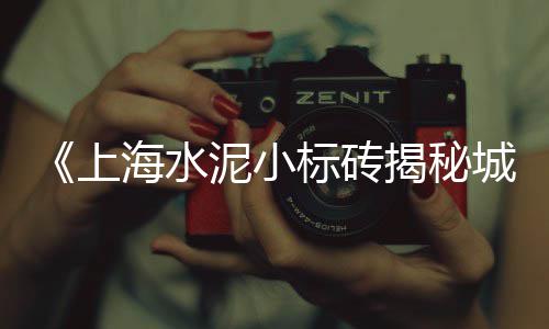 上海搅拌站求购石子、鱼石子软膏上海何店买、上海哪里有园景石子买、上海破碎石子事件视频