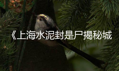 黄沙水泥零售点、开封水泥纤维板零售、天津唐山水泥批发零售、辛口水泥零售商