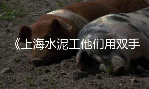 襄阳透水石子价格走势、赞皇孤山石子价格、浙江混凝土石子价格、河南商丘沙子石子价格