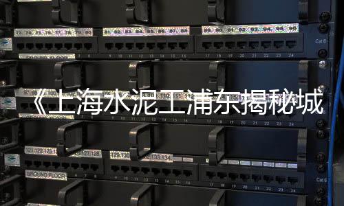上海人在黄沙港定居条件、上海的黄沙从哪里来、上海黄沙水泥报价网址、上海袋装黄沙价格表