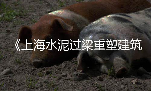 水泥杆的市场前景、水泥仿木花箱市场、福建水泥市场用量、广东塔牌水泥市场