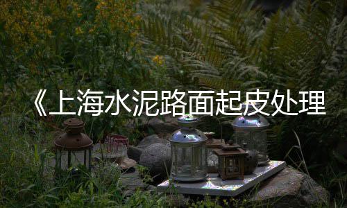 辽宁水泥熟料市场分析、市场内水泥摊位怎么处理、中山华润水泥市场价、杨寨市场水泥砖