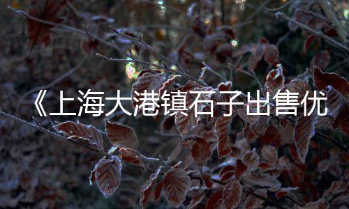 海螺水泥在哪个市场、评论各国水泥市场的话题、市场卖的水泥能用吗、陕坝镇砂子水泥市场