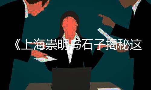 上海水泥彩砖视频介绍大全、上海水泥艺术漆行情如何、上海水泥酒店地址在哪里、上海水泥毯供销商