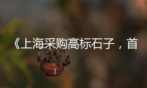 上海石子钢板仓供应商家、上海石子路公园、上海航头石子出售、上海石子破碎站价格
