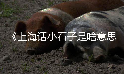 杭州黄沙批发源头、从化黄沙批发哪家好吃、绍兴黄沙水泥批发公司、陕西黄沙陶粒水泥批发