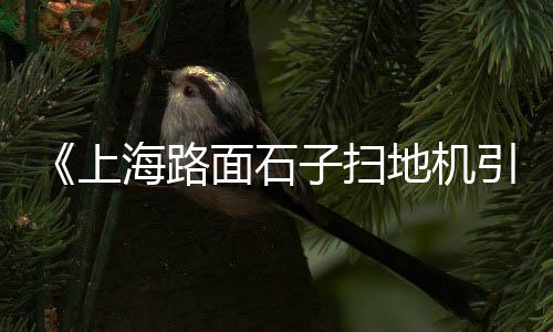 上海有石子吗、石子洲到上海多少公里、上海哪里需要机制砂石子、上海石子机破碎机