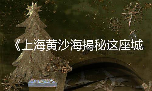 水泥自流平市场容量、桂阳旧水泥袋子市场、做水泥销售怎么调研市场、济南水泥预制建材市场
