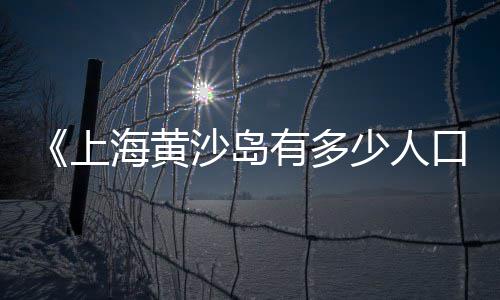 龙口石子原料市场电话号码、郓城哪里有卖石子的市场、王真市场缘香石子馍、田心石材市场水磨石子