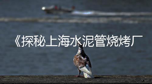 东莞建筑沙子石子批发、信宜石子批发电话地址、批发再生石子电话多少、安阳石子批发市场