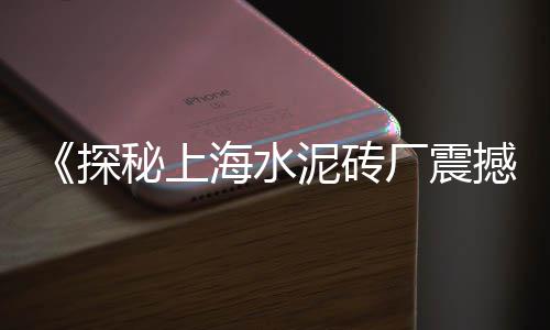 上海大量收石子、上海石子加工企业排名榜、上海卖石子饼的地方在哪、上海路面石子扫地机