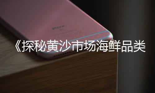上海水泥布袋除尘器、上海水泥粉墙报价、上海水泥工搬运、上海水泥泵送机租赁