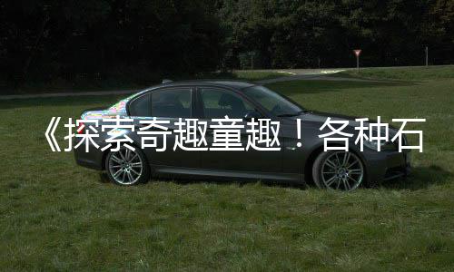 天津滨海新区石子零售商、开发区石子批发零售地址、中药材批发零售云石子、双口镇石子批发零售电话