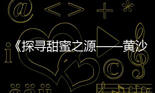 上海浦东磨石子厂地址、上海挖机带破碎石子机厂家、安徽芜湖上海世邦石子生产线、上海市1-2石子价格
