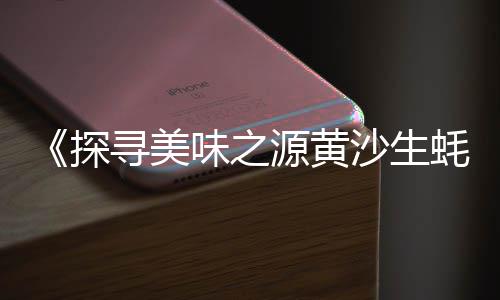 上海哪里找黄沙、上海家装黄沙品牌、上海水泥黄沙货场、上海发泡水泥黄沙