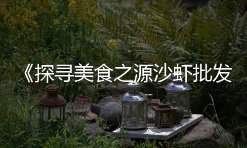 上虞石子价格、皁阳石子价格、金寨清石子价格、清白石子的价格