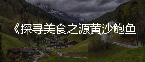 买石子零售和去港口的账、漯河石子零售店在哪个位置、黄沙石子红砖批发零售多少钱、灌云石子零售店地址在哪里