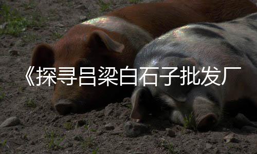 山东沂水石子价格、石子瓦罐煨汤价格、长江沿线石子价格、乳山小石子价格