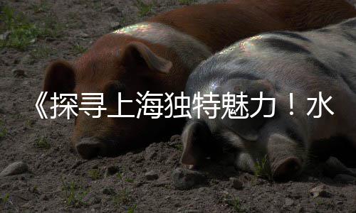石子石粉市场物价、江苏花岗岩石子批发市场、胡埭哪里有卖石子的市场、随县石子批发市场电话