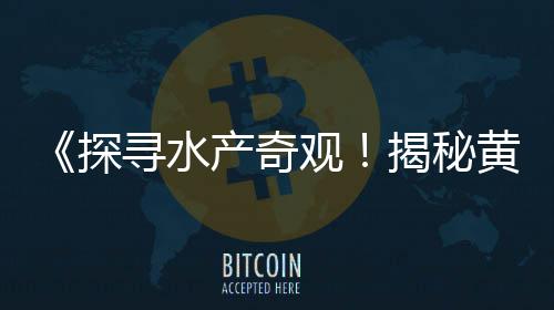 黄沙石子水泥零售、周口石子零售店地址查询、批发零售水泥沙子石子、淄川石子零售店地址电话