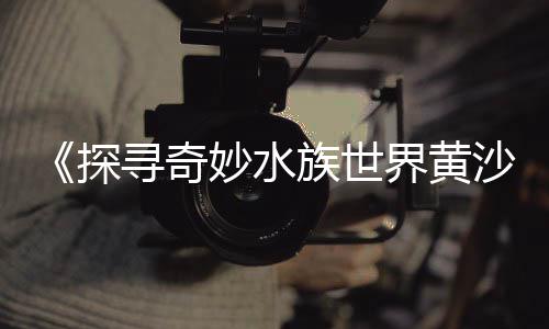 洛阳石子零售电话地址、批发零售沙子石子水泥、青州零售石子价格查询、洛阳石子零售地址查询