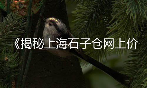 上海石英砂重钙粉白石子、上海重工石子生产线厂家、福建石子卖到上海要多久、上海大量收购石子填海的公司