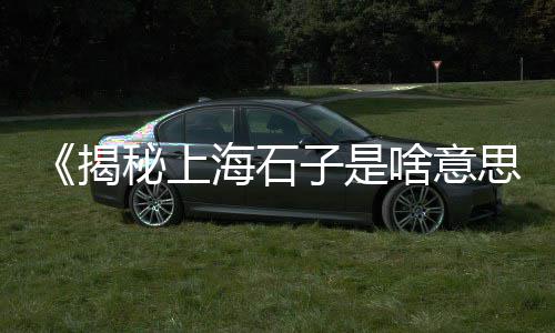 徂徕石子价格走势最新、小型石子机什么价格、湖北麻城青石子价格、石子产地价格