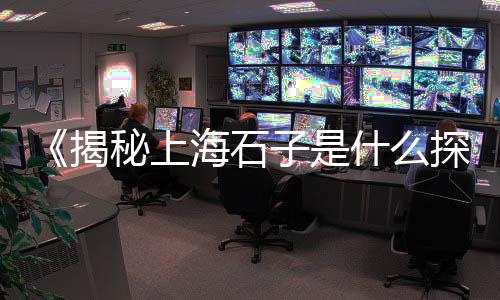 天津大港区石子批发零售、青州石子零售、曲阜石子零售、石子零售配送