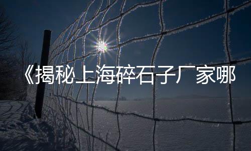 宁波轻质水泥发泡砖批发、泸定水泥批发、aaj水泥批发、水泥批发群