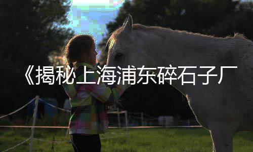 上海 石子坚、上海黄浦江装石子、上海猩猩扔石子事件视频、上海有几个石子市场啊