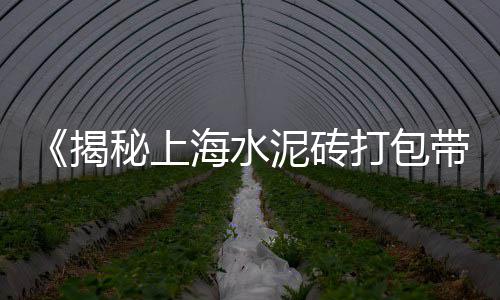 水泥市场下滑、鹰潭黄沙水泥建材市场、杞县水泥建材市场在哪、龙岸镇水泥钢筋市场