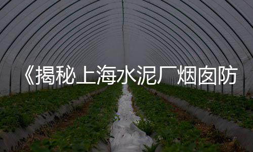 上海水泥筒仓美化公司、上海水泥水篦子制造厂家、上海水泥砖怎么铺的、上海水泥仿藤栏杆厂家地址